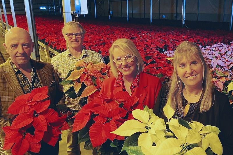 La campagne de poinsettias de La Maison Aube-Lumière revient pour une 32e année